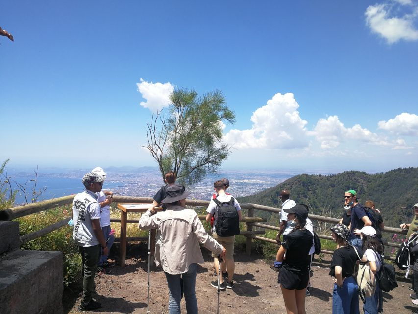 Vesuvio, Cantina Del Vesuvio Tour - Tour Pricing and Duration