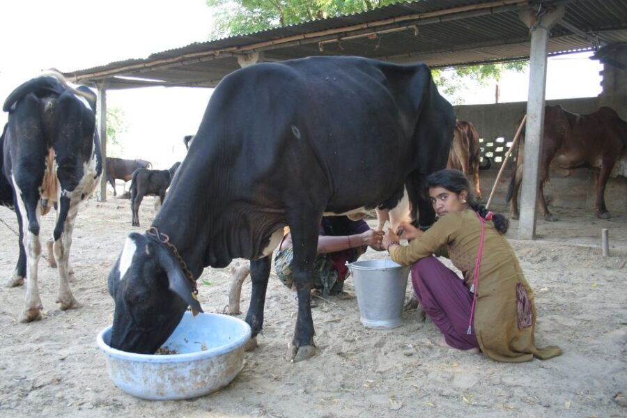 Village Tour In The Shed of Crown Palace In Agra By Local. - Good To Know