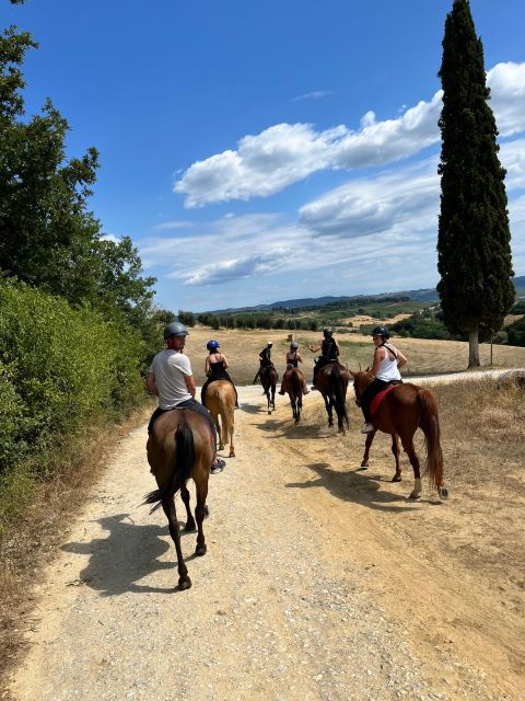 Vinci: Horseback Riding Meditation Experience - Participant Restrictions