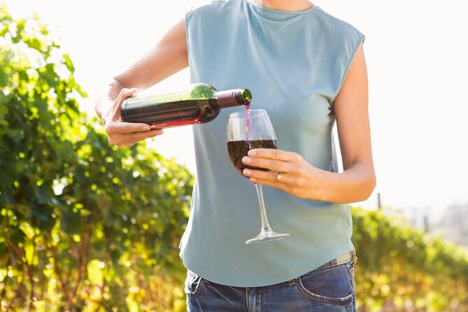 Vino Venture: Explore With a Local - Troodos Mountains Thru Wine! - Good To Know