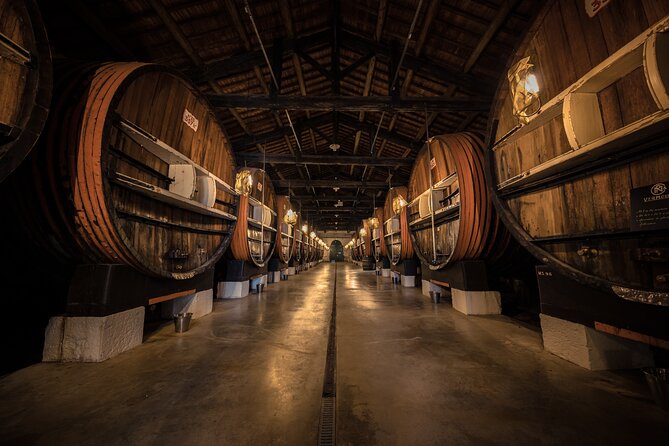 VIP Tour of the Cellars and Wine and Vermouth Tastings - Tour Highlights