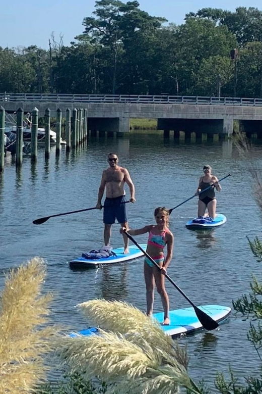 Virginia Beach: Morning Stand-Up Paddleboarding Tour - Location and Provider