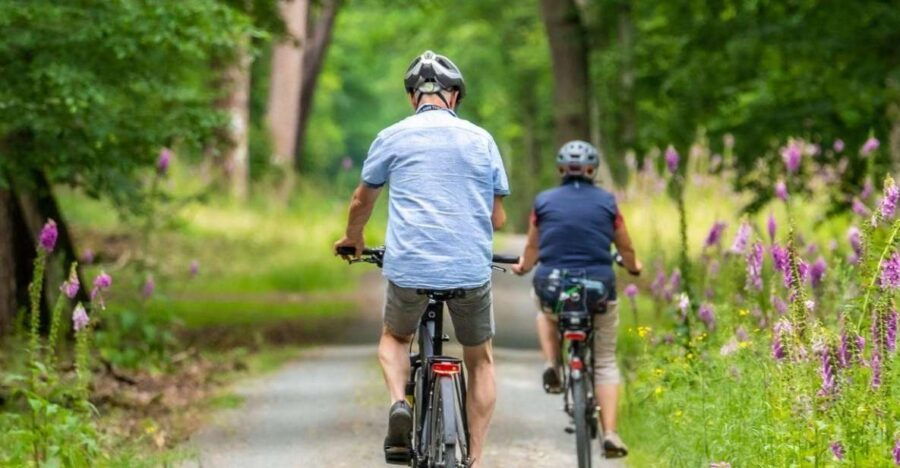 Visit a Village by E-Bike and Taste the Excellent Wine - Tour Details