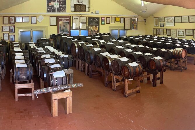 Visit and Tasting of Traditional Balsamic Vinegar of Modena