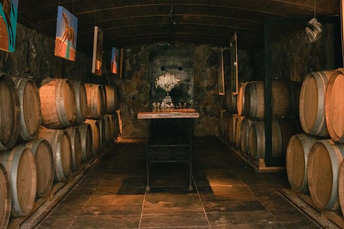 Visit El Enemigo Winery+Lunch Antigal Winery.Transfer Included
