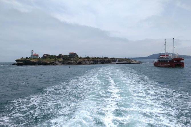 Visit the Unique & Only Bulgarian Black Sea Island Saint Anastasia - Good To Know