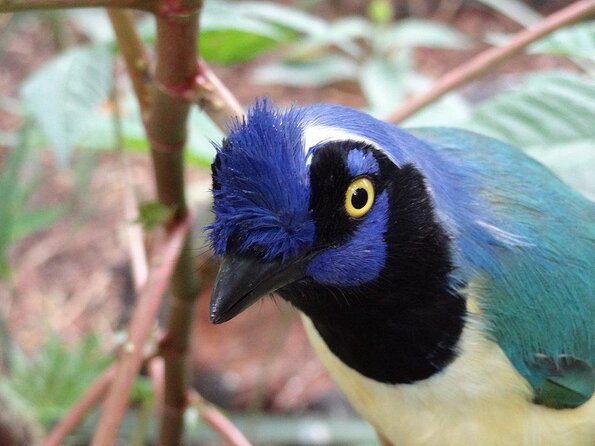 Visit to La Reserva BioPark Private Tour (6 Hrs.)