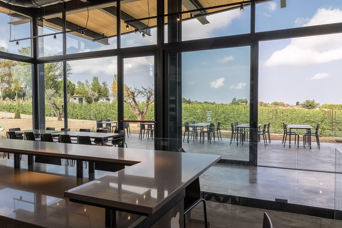 Visit to the Cellar and Tasting - Location and Meeting Details
