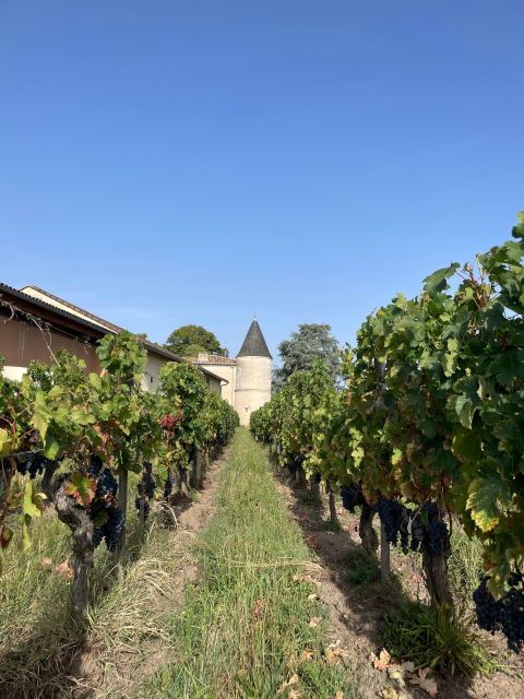 Visit to the Property and Wine/Cheese Pairing Workshop