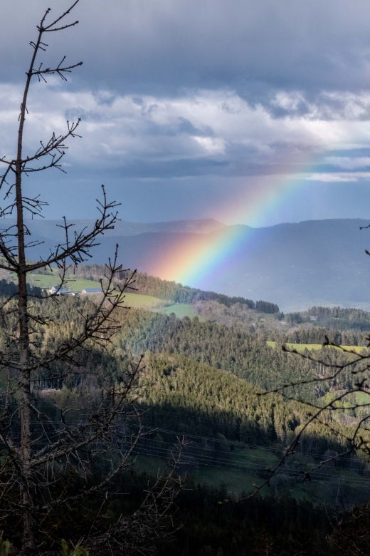 Vosgian Lakes Rallye - Audio Guide and Accessibility