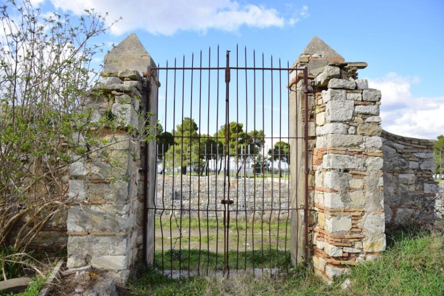 Vulture Tour: Venosa - Tour Details