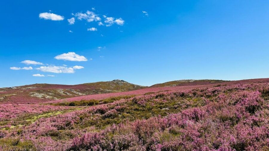 Walk & Picnic Peneda Gerês National Park – Guided
