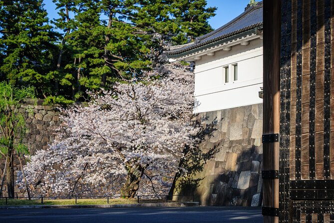 Walking Toranagas Edo - Good To Know