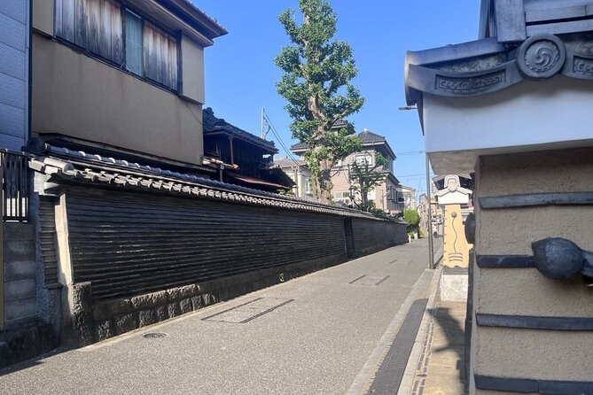 Walking Tour in Yanaka Nezu and Sendagi: Tea Ceremony & Old Tokyo
