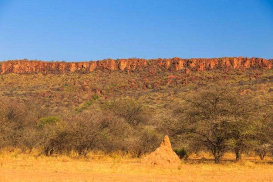 WaterBerg (Bela Bela) 3 Days Experiences - Day 1: Wildlife Safari Adventures