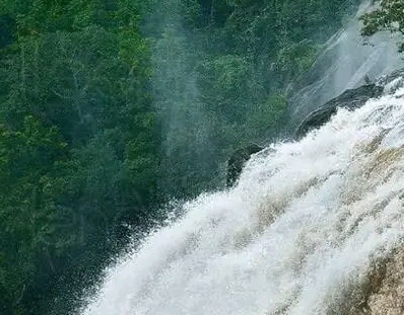 Waterfalls of Athirapply or Areekal Tour for 1 to 8 People. - Good To Know