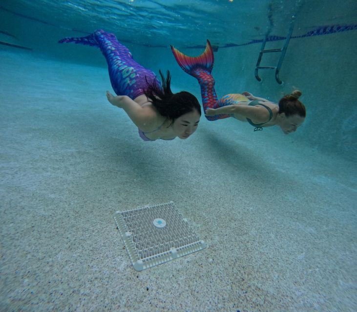West Palm Beach: Become A Mermaid - Activity Itinerary