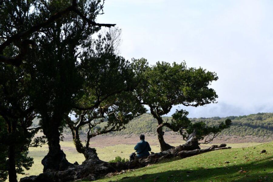 West Tour Madeira by Overland