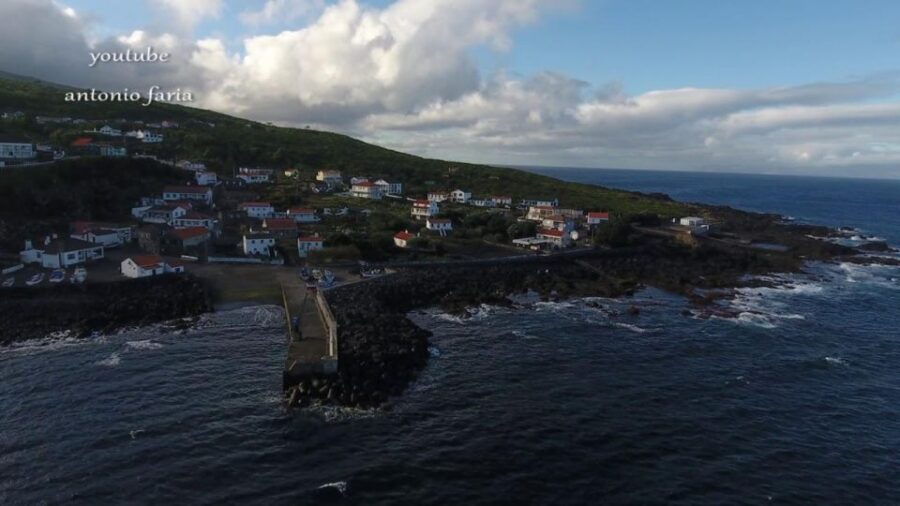 Whale Memory – Unforgetable Ride in the Waters of Pico