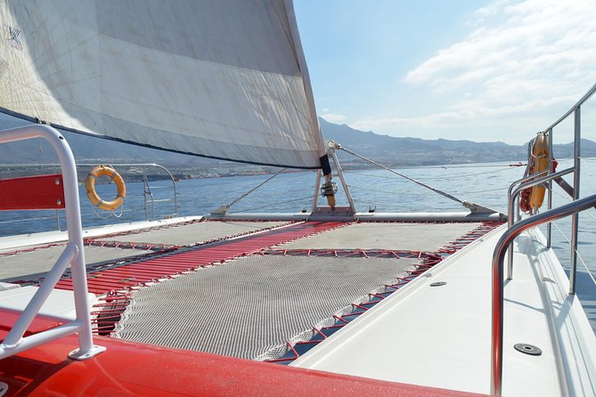 Whale Watching and Listening Eco Catamaran Tour With Food Tasting - Good To Know