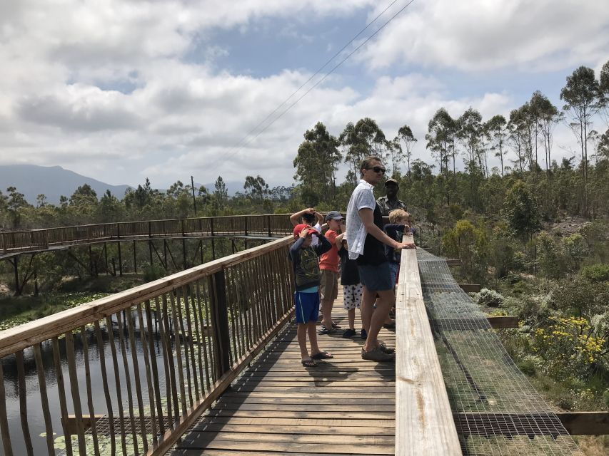 Wild Cat Experience 1-Hour Tour