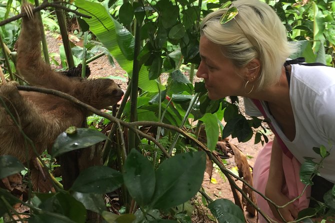 Wild Life And Horseback Riding Through The Rain Forest - Good To Know