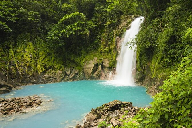 Wildlife Safari Boat Tenorio, Excellent Bird Watching Tour