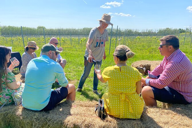 Wine and Cheese Tasting Tour in Cheddar Valley