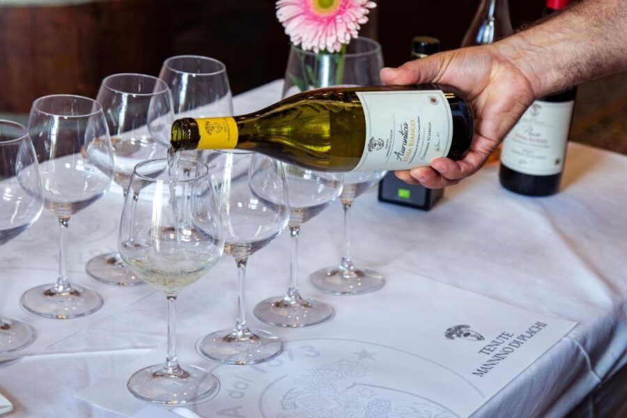 Wine and Local Delicacies Tasting at a Sicilian Palmento