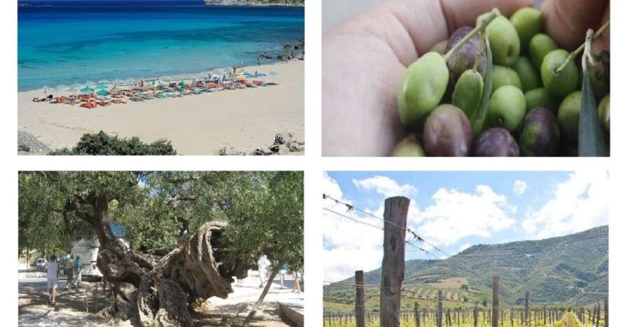 Wine and Olive, Falasarna Beach Day Tour