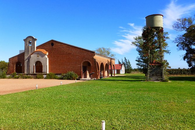Wine Cellar & Tasting in Montevideo With Outstanding Lunch
