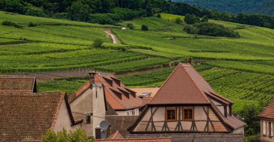 Wine Route Rallye - Ticket Details