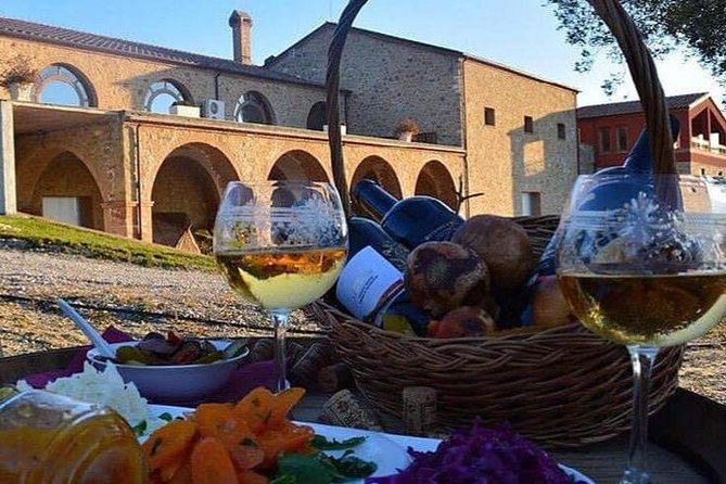 Wine Tasting and Olive Oil in Tirana Surroundings