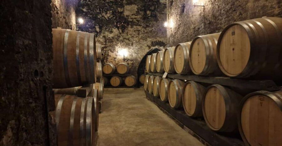 Wine Tasting in Montepulciano Tuscany Private Tour From Rome - Booking Information