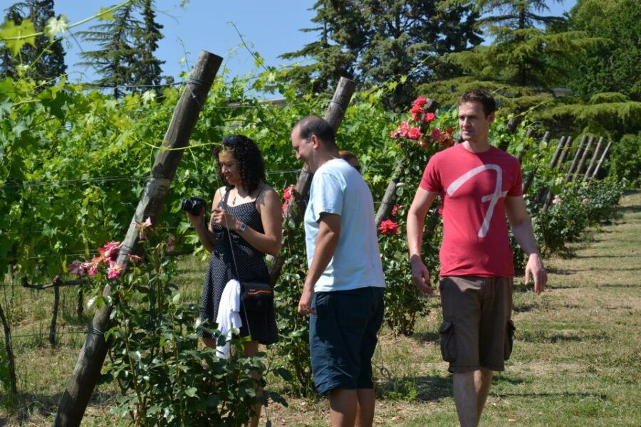 WINE TASTING TOUR - Experience Description