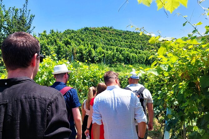 Wine Tasting & Vineyards Tour From Tirana/Durres - Good To Know