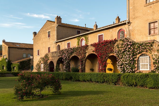 Wine Tour Bolgheri Half Day Shore Excursion From Piombino Port
