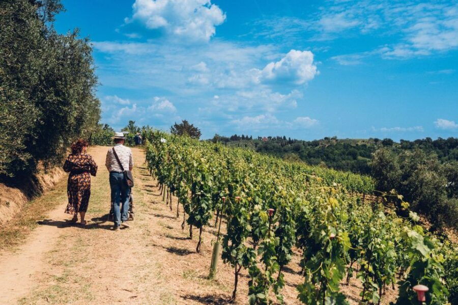 Wine Tour in a Family Winery in Tuscany