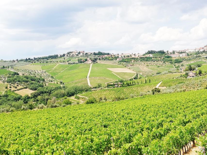 Wine Tour in Open Top Van - Tour Details