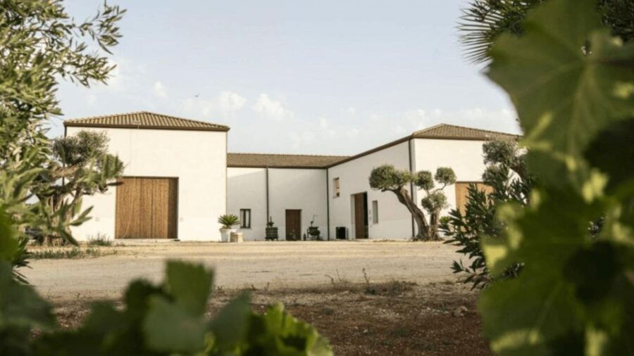 Winery & Pizza Cooking Class With Transfer From Palermo - Experience Highlights