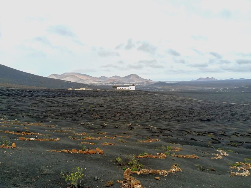 Winetourism in Lanzarote: the First Vineyards in Masdache