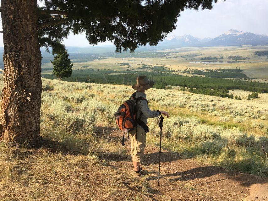 Yellowstone Small-Group Tour From Paradise Valley & Gardiner