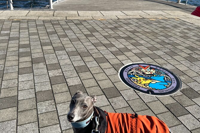 Yokohama Private Family Tour With Manhole and Vehicles