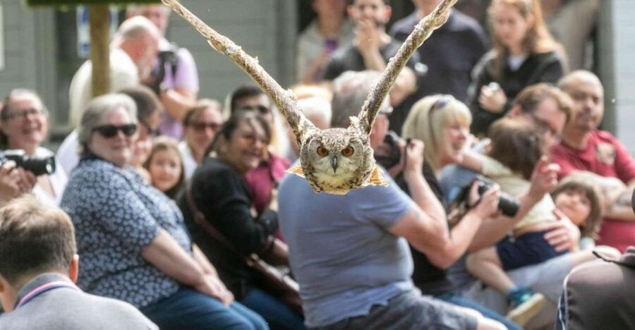 York: Entry to York Bird of Prey Centre