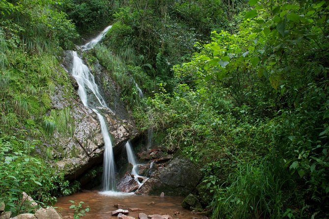 Yungas Half-Day Tour From Tucuman