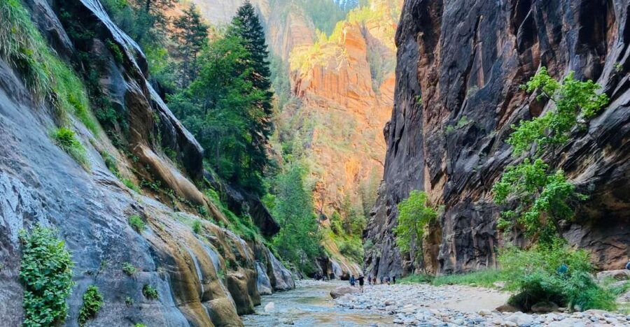 Zion Narrows – Guided Hike and Picnic