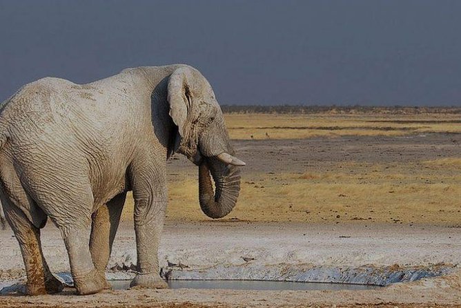 06 Days Etosha and Sossusvlei Namibia - Good To Know