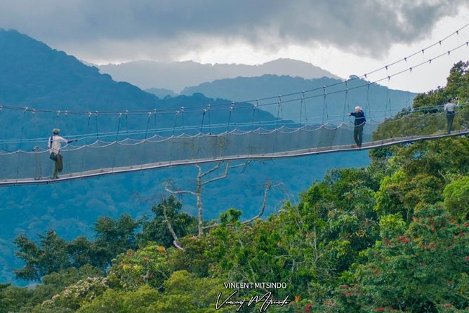 1 Day Canopy Walk Adventure in Nyungwe Forest Park (2 Pax Min) - Good To Know