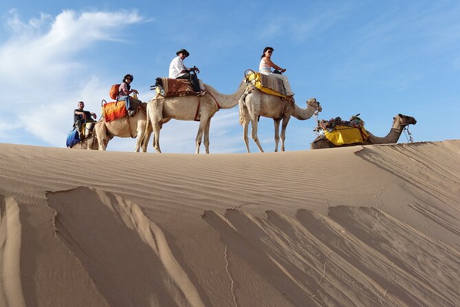 1 Day Dromedary Ride Near Essaouira - Good To Know