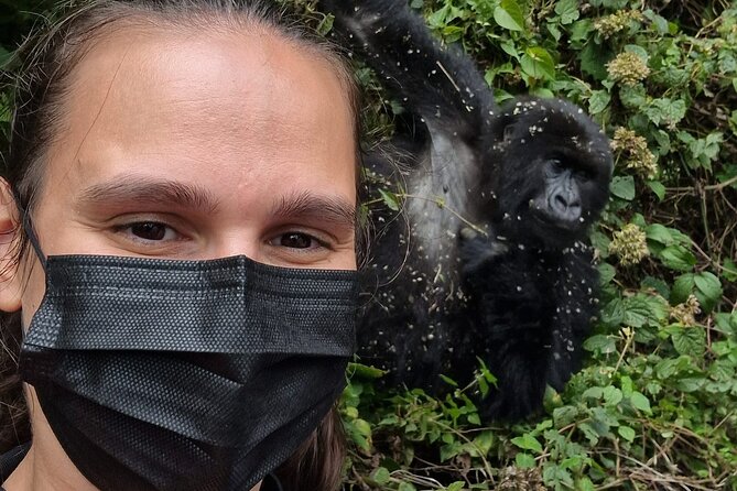 1 Day Gorilla Trekking Safari in Rwanda Volcanoes National Park
